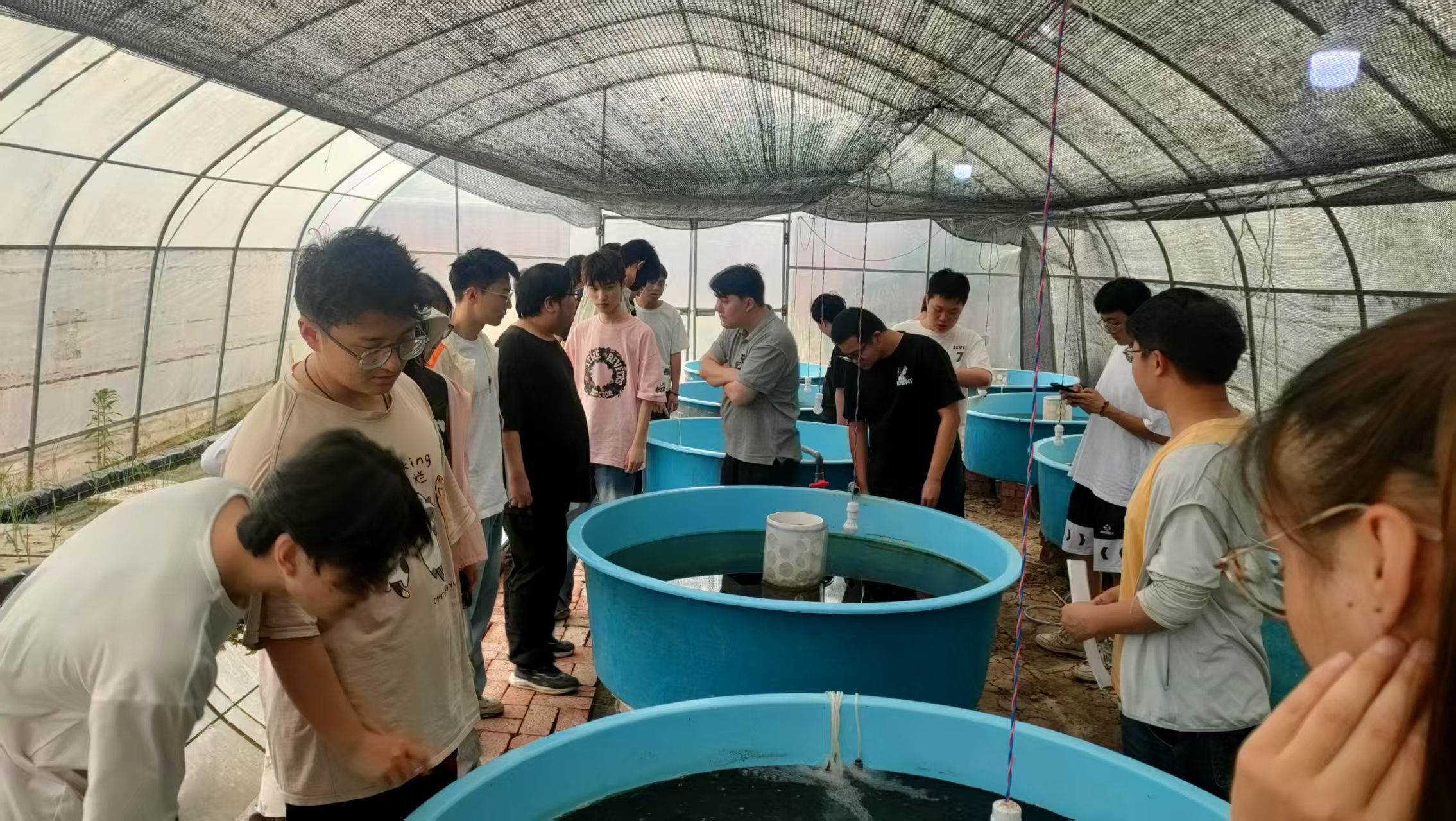 大棚鱼菜共生系统学习.jpg