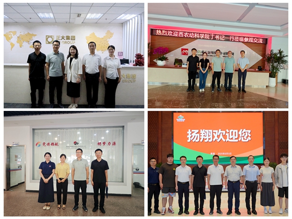 企业合影.jpg