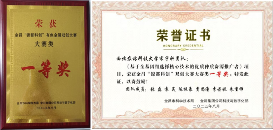 荣誉证书.png