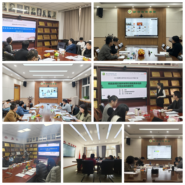 光影魔术手拼图.jpg