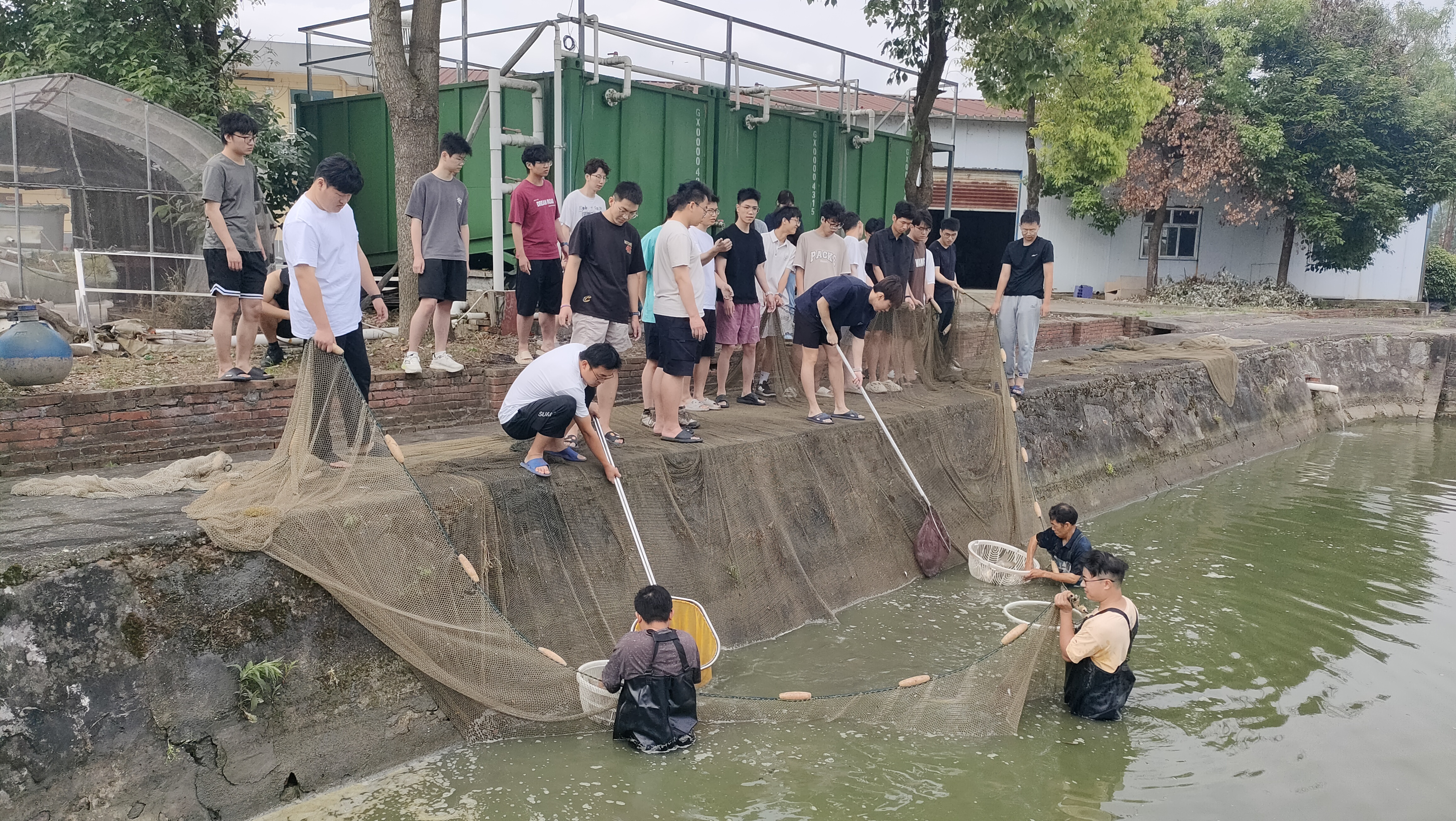 参与拉网活动.jpg