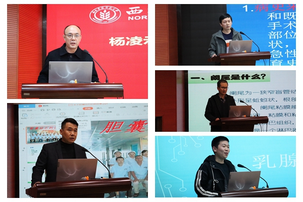 30d8a80c6e674598a9a1ebdeaa68e5d9.jpg NeoImage_副本.jpg