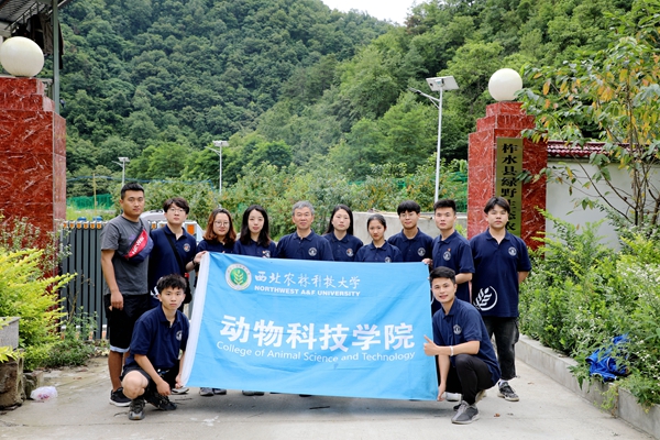 86f13a7a3cce4eaab1a2d8d5177b81a8.jpg 图片一.JPG