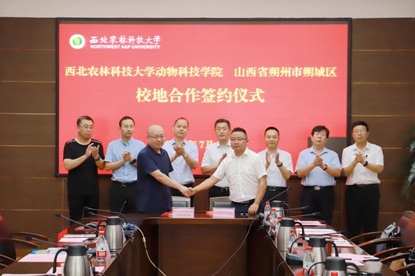 aedc71c8f2e04ce1a148139208e64e90.jpg