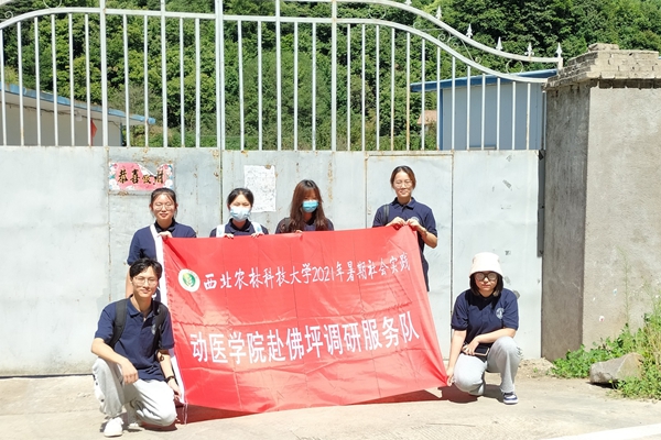 07ced3f159644fda8891bec978d4d67f.jpeg 佳和中华鲟养殖基地.jpeg
