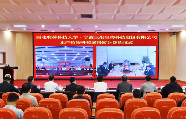 fc3472036cc34f6dae0536ddf913c2c2.jpg