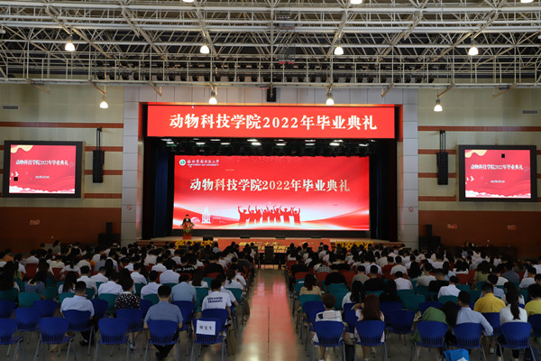 毕业典礼现场.jpg