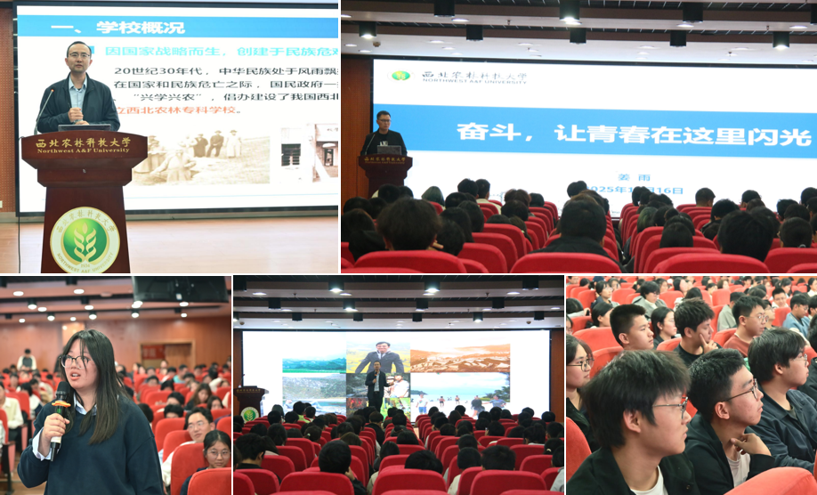 图片合集.png