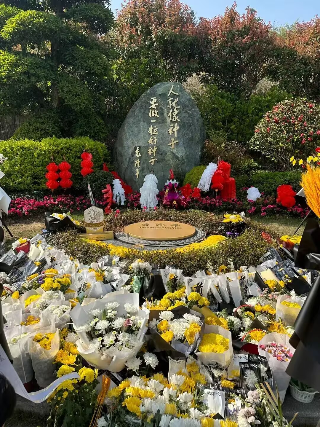 图二:祭奠袁隆平院士.jpg