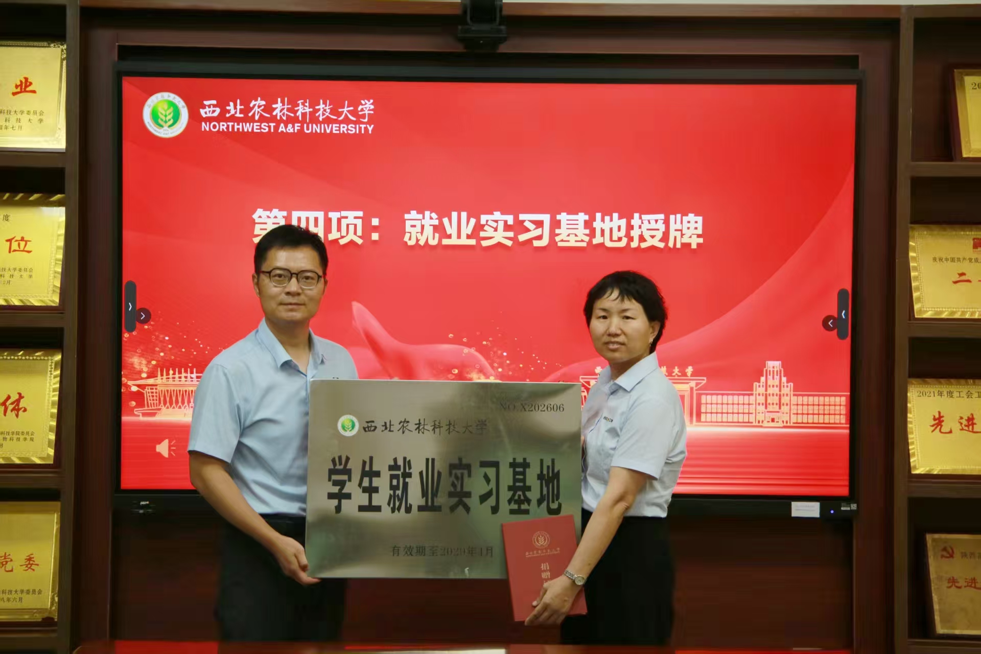 bcb63a5bac8227a73bab98ce2295df4.jpg