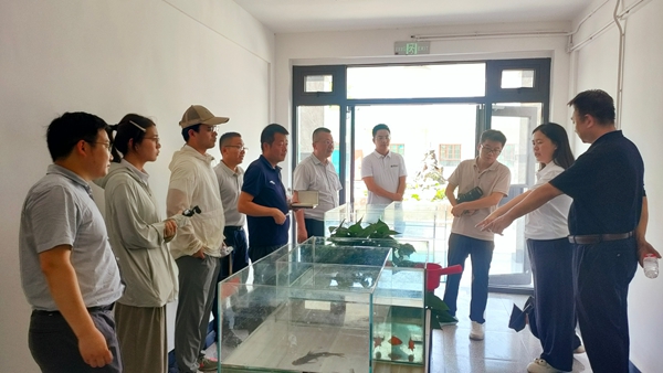 养殖品种拍摄.jpg